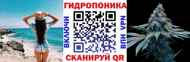 Марихуана MAZAR  цены   Медынь 
